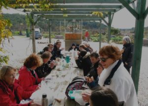 Pique-nique sous la pergola des jardins familiaux de Clapiers