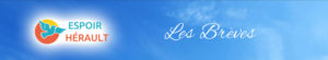 bandeau image de la newsletter