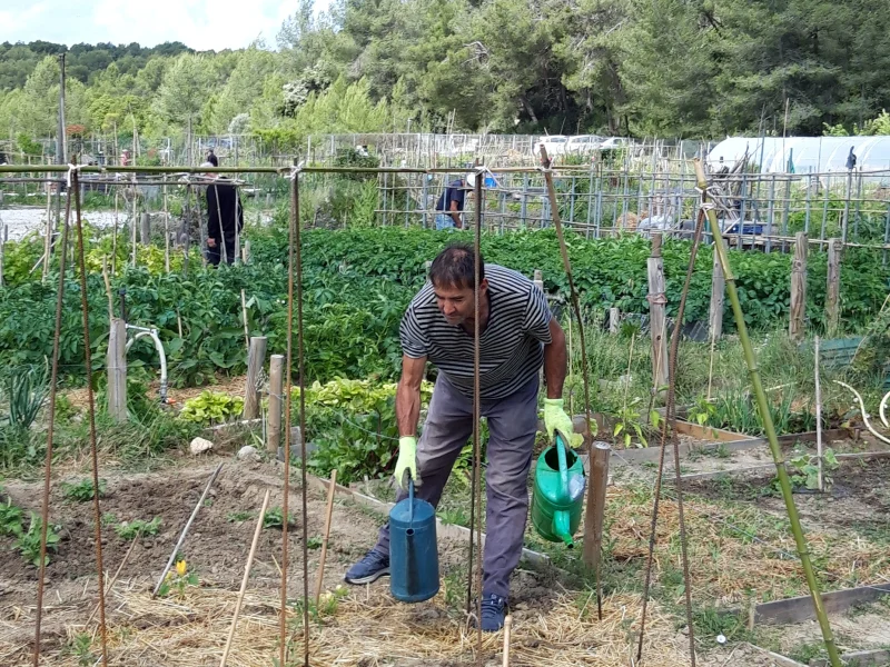 Les activités de jardinage au sein des jardins familiaux de Clapiers se poursuivent avant l&rsquo;été.