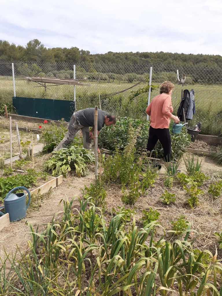 Les activités de jardinage accompagnées par Espoir Hérault continuent…