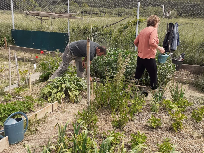 Les activités de jardinage accompagnées par Espoir Hérault continuent…